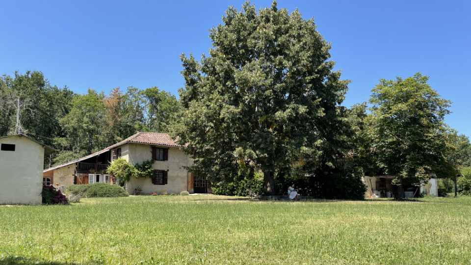 Artist Retreat For Dancers and Movement Artists