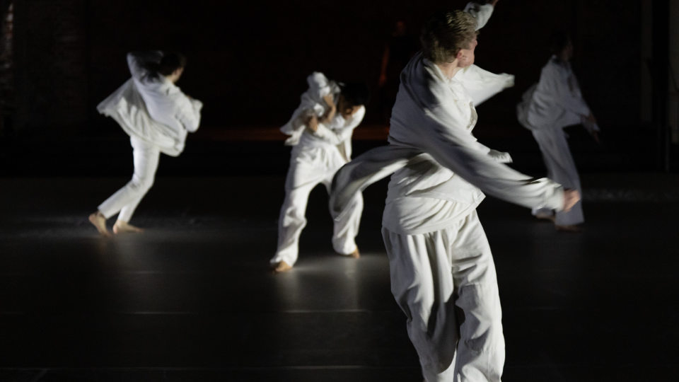 Open Call For A Selection Workshop / Audition By LUNA PARK