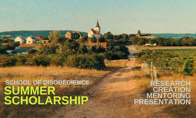 Open Call: Scholarship With The School Of Disobedience