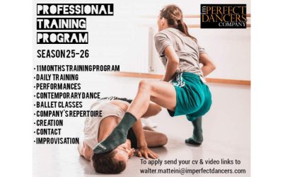 Professional Training Program By imPerfect Dancers Company