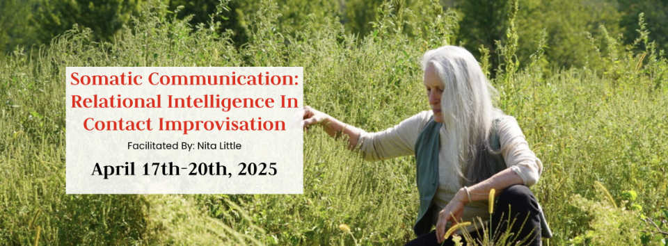 Somatic Communication: Relational Intelligence I Contact Improvisation