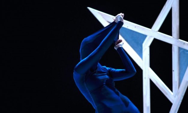 Tanz Company Gervasi Is Looking For 2 Male Dancers